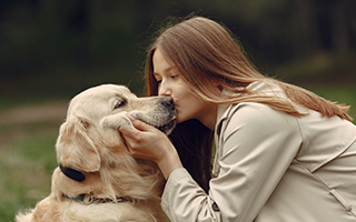 In Home Dog Training