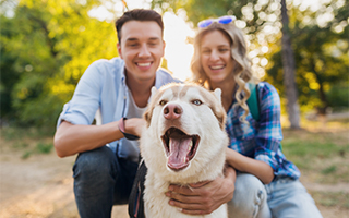 In Home Dog Training by Canine Magic